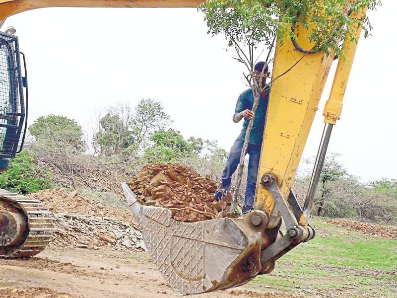 Eco way Don’t cut, just uproot and replant trees Hindustan Times