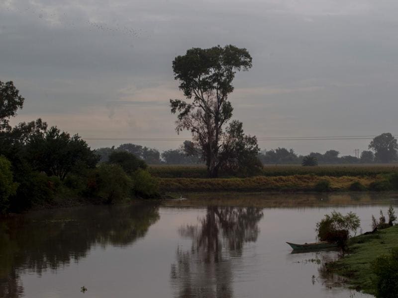 13 bodies found in around Lake Chapala in western Mexico World News