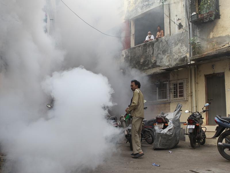 Mumbai Sees Spurt In Dengue Cases Over 5 Years, Reveals BMC Data ...