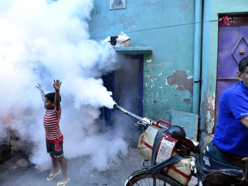 Sigh Of Relief For Delhi As Chikungunya, Dengue Cases At Half Of Last ...