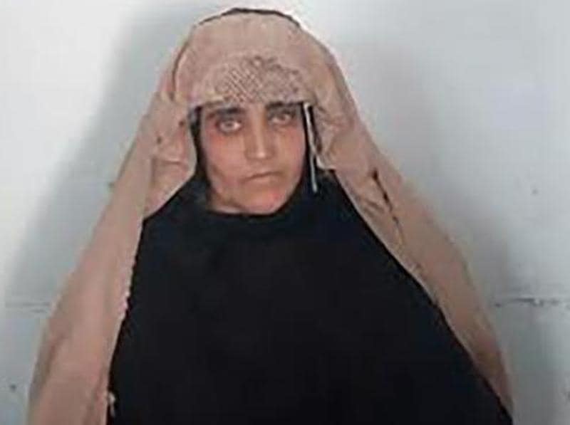 Unhcr Distances Itself From ‘afghan Girl Sharbat Gula After Her