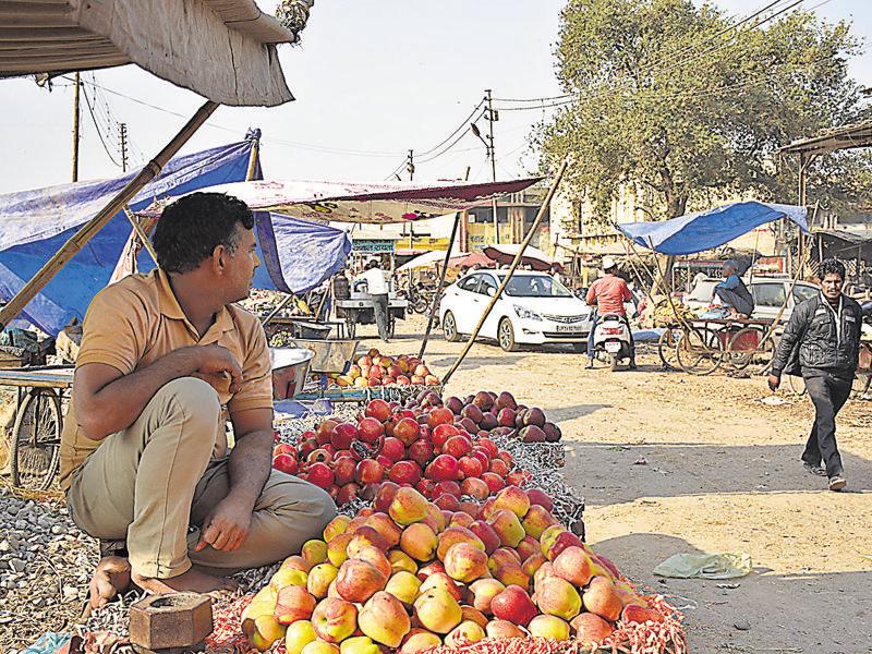 Cash crunch Shortfall in fruits and veggies in Ghaziabad this winter