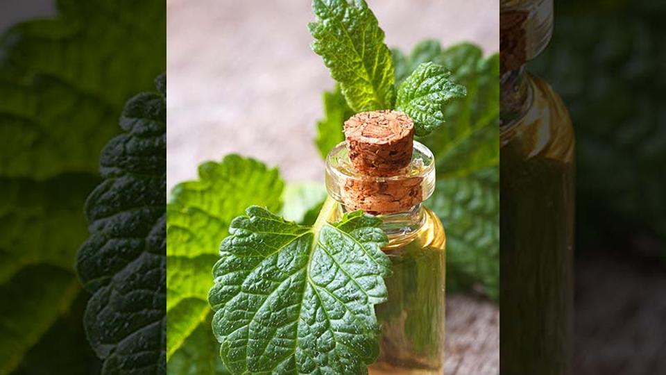 Old 'myth' could be true, mouthwash may cure gonorrhea ...