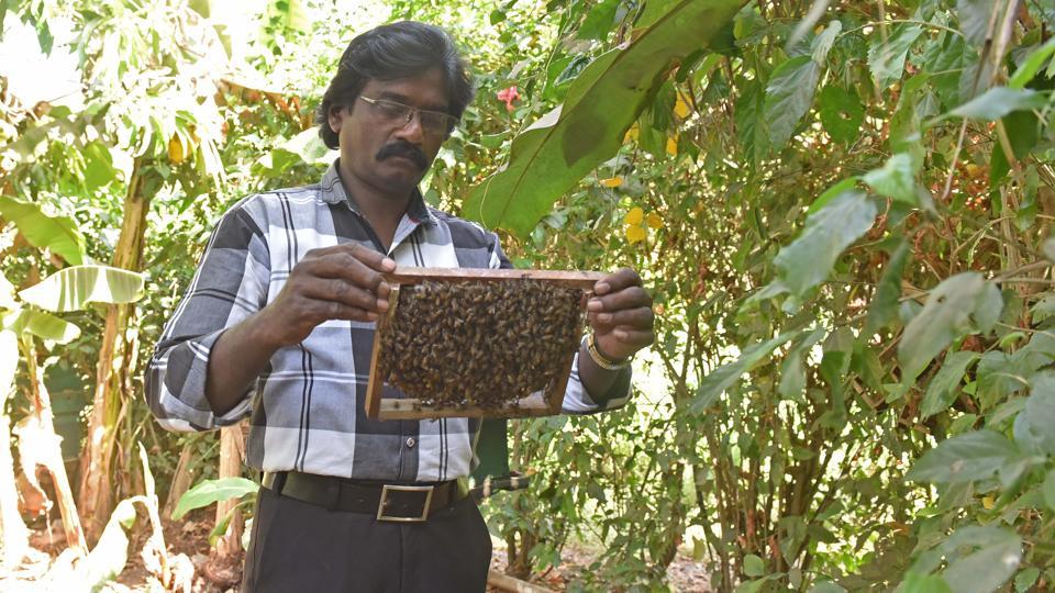 Milk And Honey Meet Mumbai S Resident Bee Keeper Hindustan Times David williams is a professional beekeeper and bee removal specialist with over 28 years of beekeeping experience.