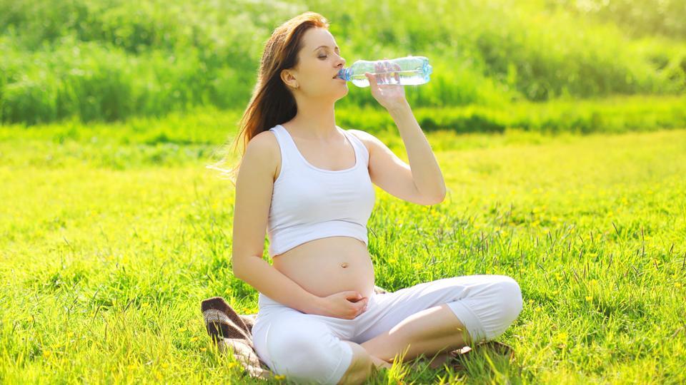 Pregnant women drinking from plastic bottles may have obese children ...