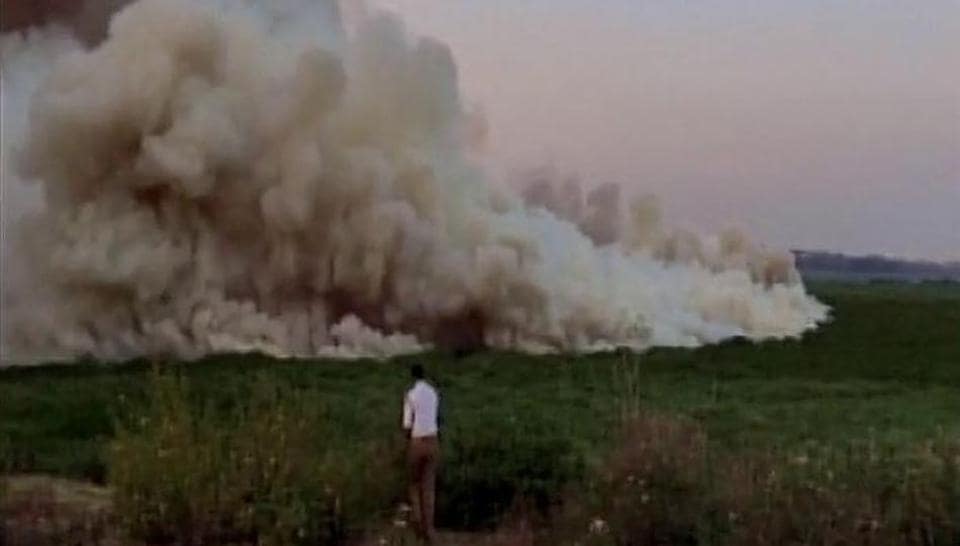 Bengaluru’s Bellandur lake catches fire, thick smoke engulfs the area