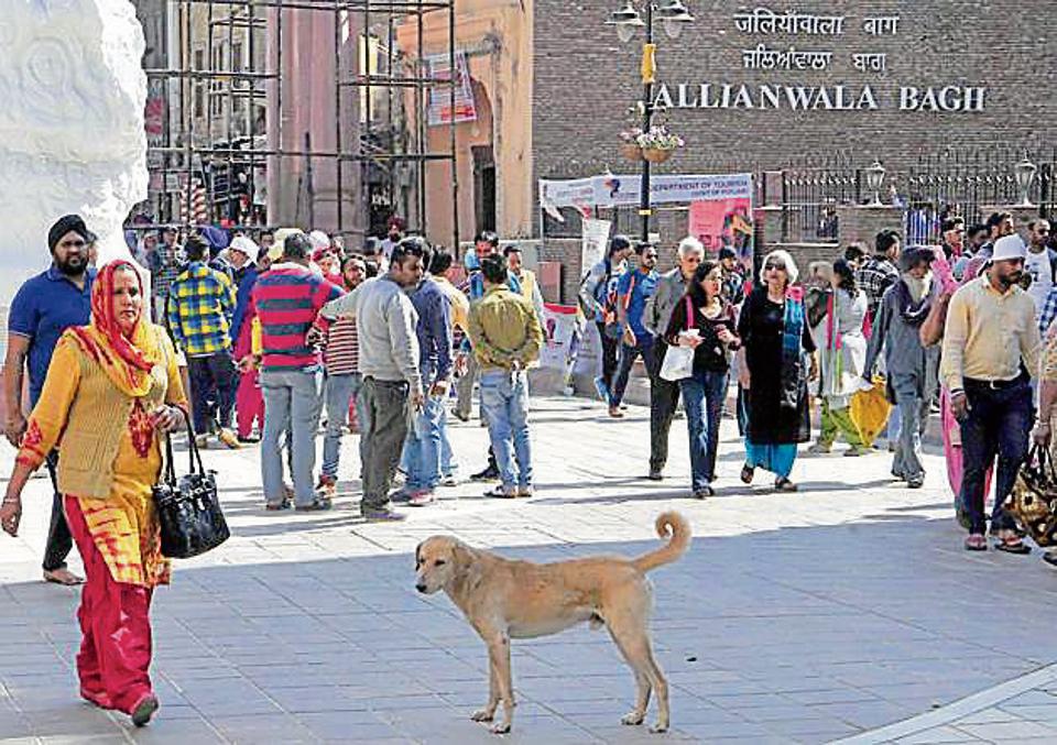 Stray dog menace at Heritage Street haunts tourists locals Hindustan