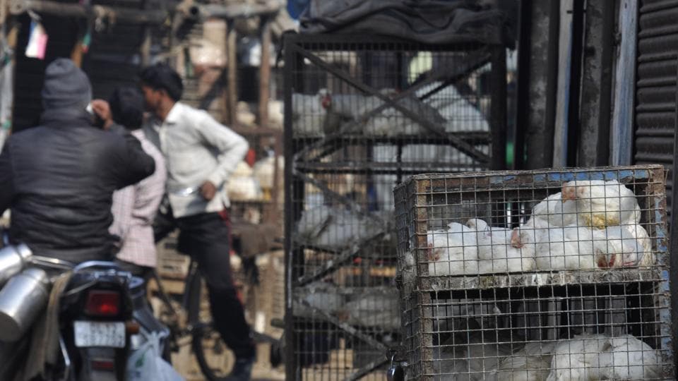 Noida shocker All meat shops illegal, says food safety department Hindustan Times