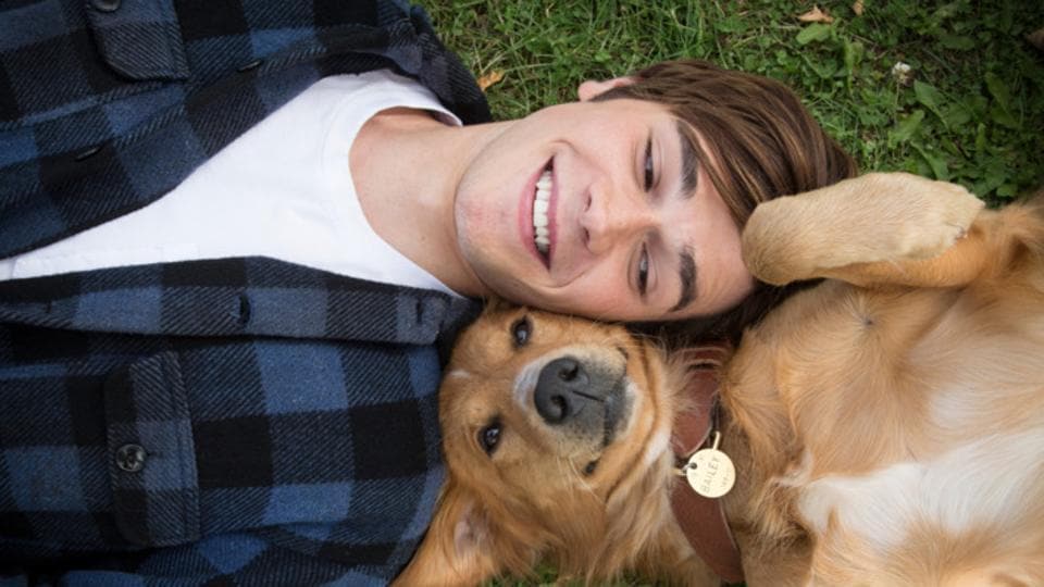 A Dog’s Purpose movie review No tearducts were harmed in the making of this film Hindustan Times A Dog’s Purpose movie review No tearducts were harmed in the making of this film Hindustan Times