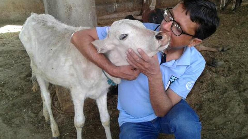 A Muslim vet in service of cows - Hindustan Times A Muslim vet in service of cows - Hindustan Times