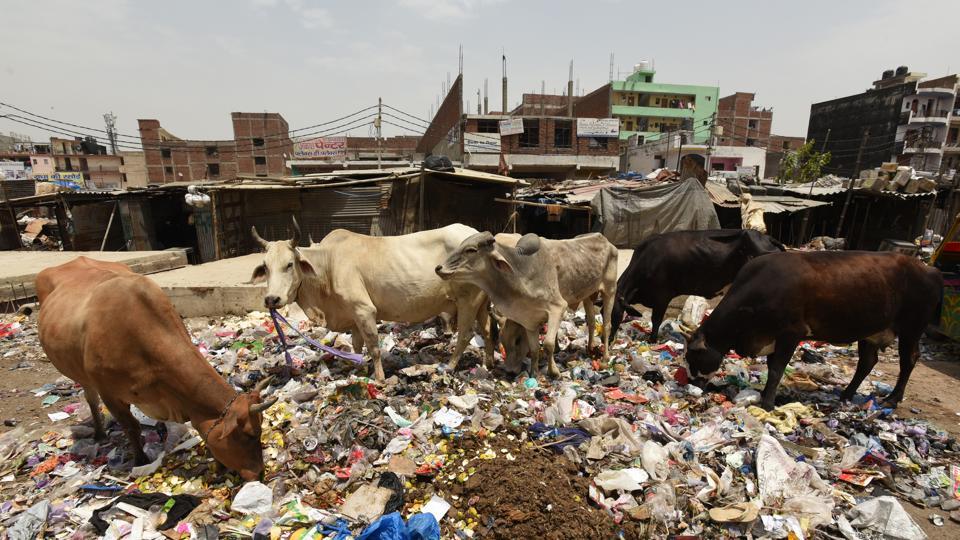 Noida chairman to meet authority staff over sanitation, traffic ...