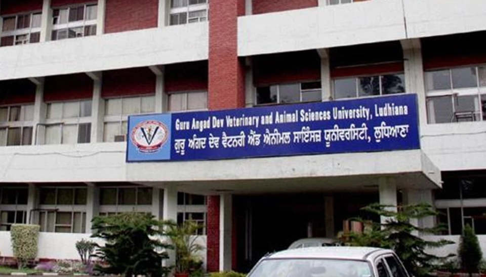 India’s top veterinary university Ludhiana’s GADVASU ranked by ICAR as