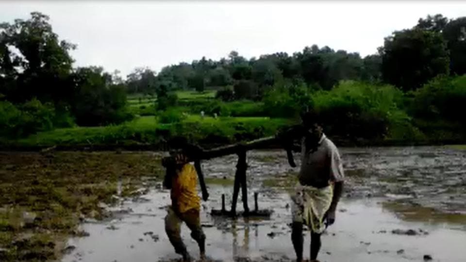Madhya Pradesh Farmer Uses Sons To Plough His Field Latest News India 