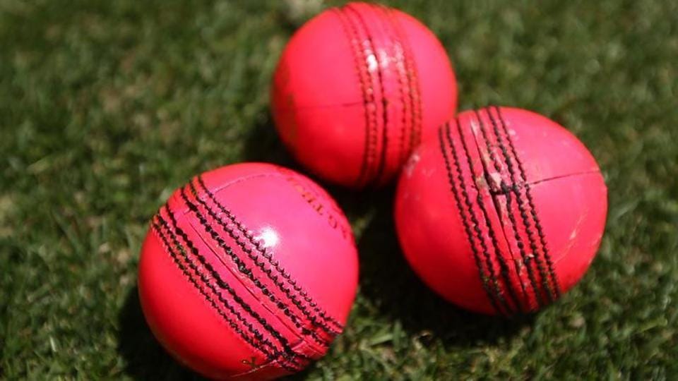 ‘Cricket chiefs discriminating against colour blind by using pink ball ...