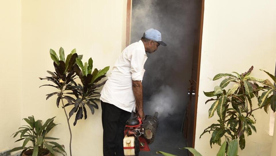 Can You Get Dengue Twice Read Here To Find Out Health Hindustan Times