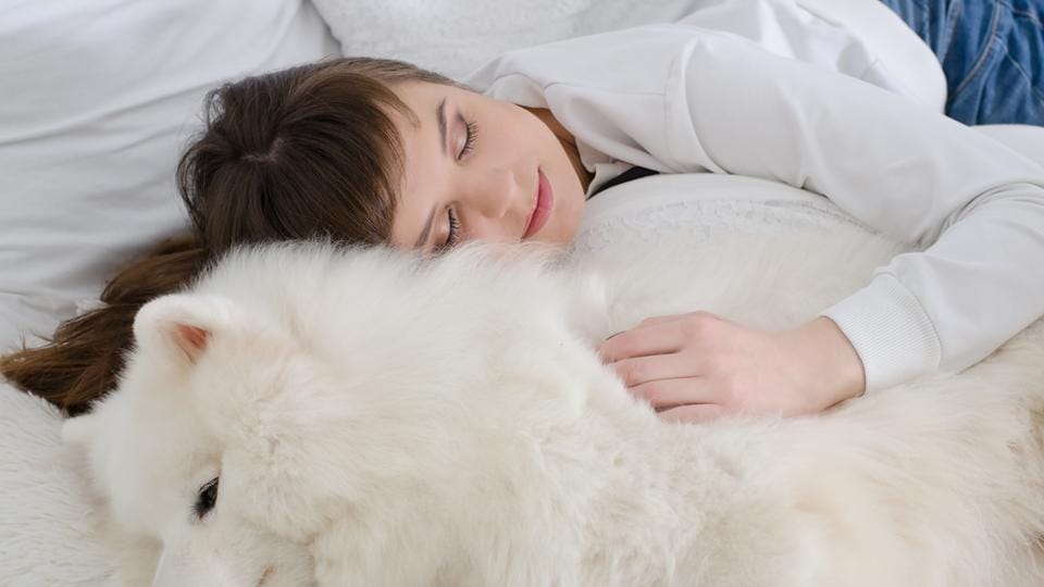 Do you sleep with your pet in bed? Beware, it may affect your sleep