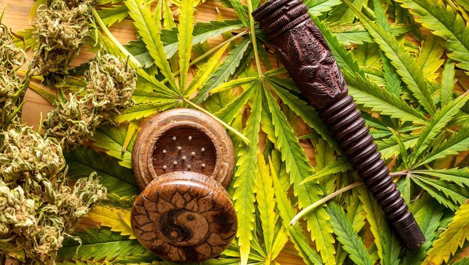 Be Aware Or Beware: Cannabis Extract May Increase Cancer Risk 