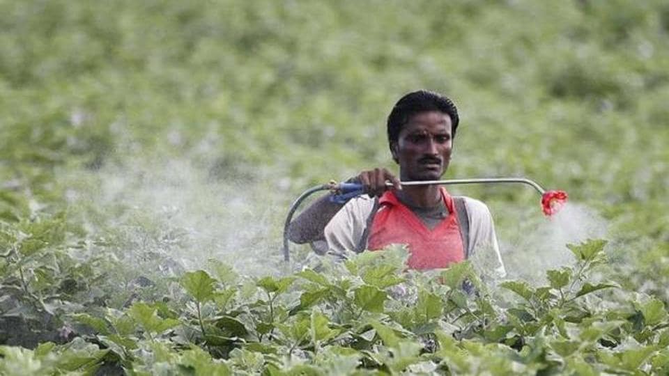 Pesticide Poisoning In Maharashtra 49 Farmers Fight For Their Lives Mumbai News Hindustan Times 2034