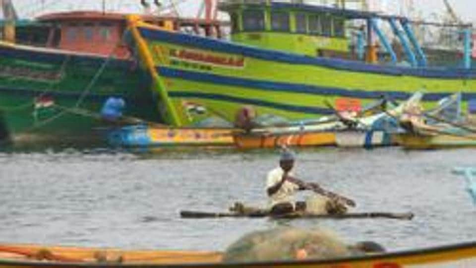 Wildlife Action Plan: More work ahead from a marine conservation