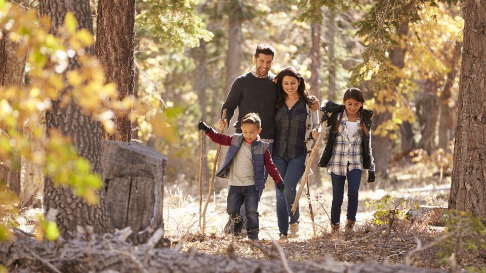 Go on a small walk with your family every day. Here’s how it can