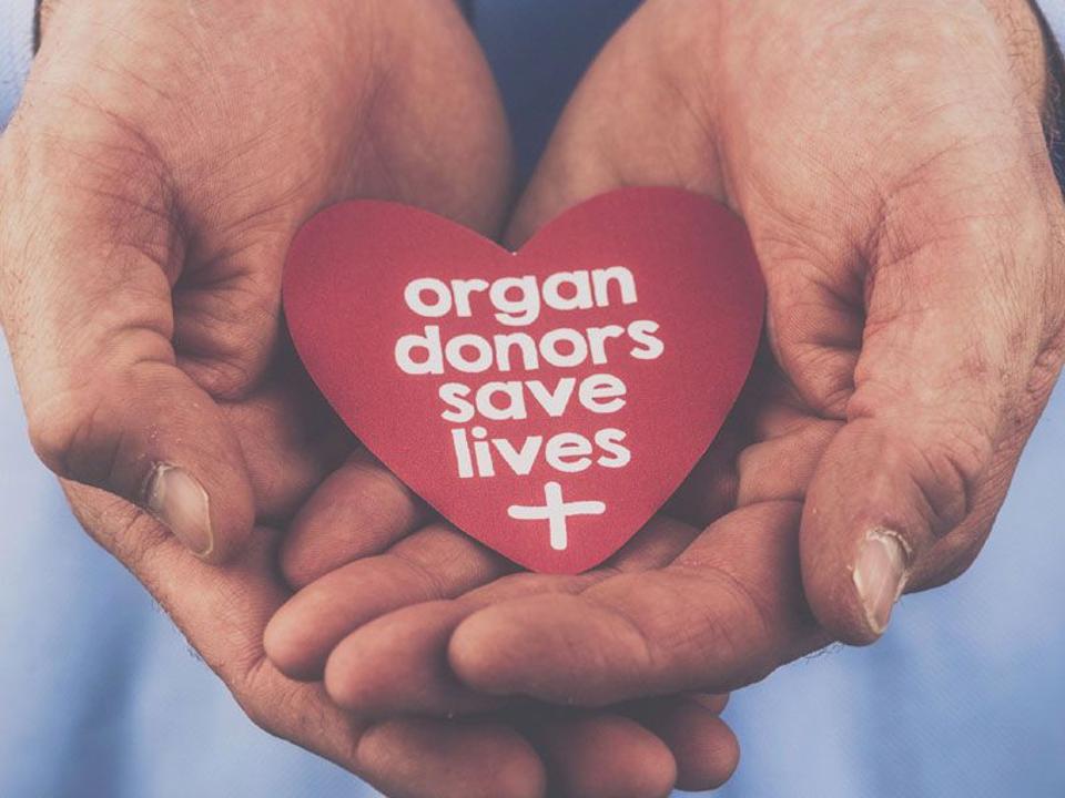 55 Organ Donors Save Lives In 2017 Become Inspiration For Many In Pune Hindustan Times 