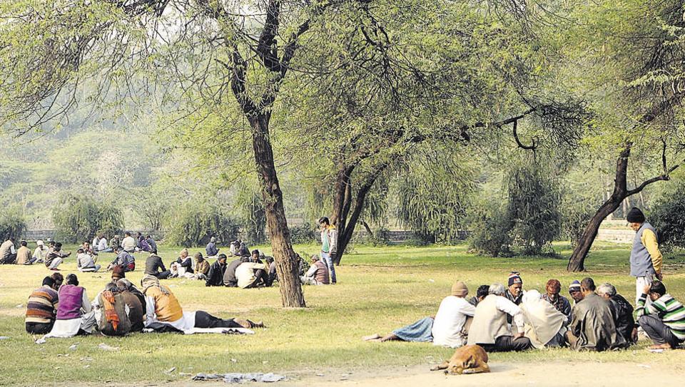 960px x 543px - Unsafe public spaces: Delhi parks become haunt of addicts, criminals |  Latest News Delhi - Hindustan Times