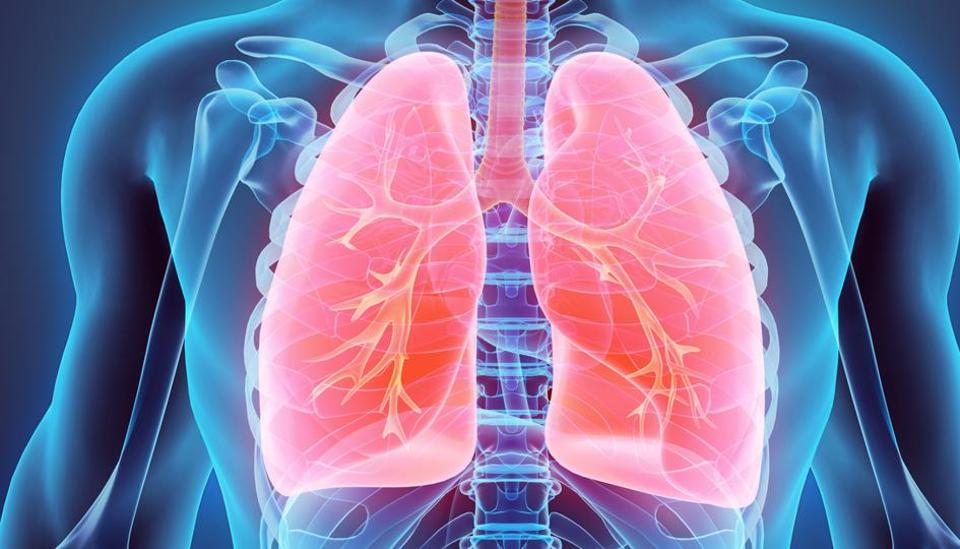 Insufficient zinc supply to lung cells can cause respiratory diseases
