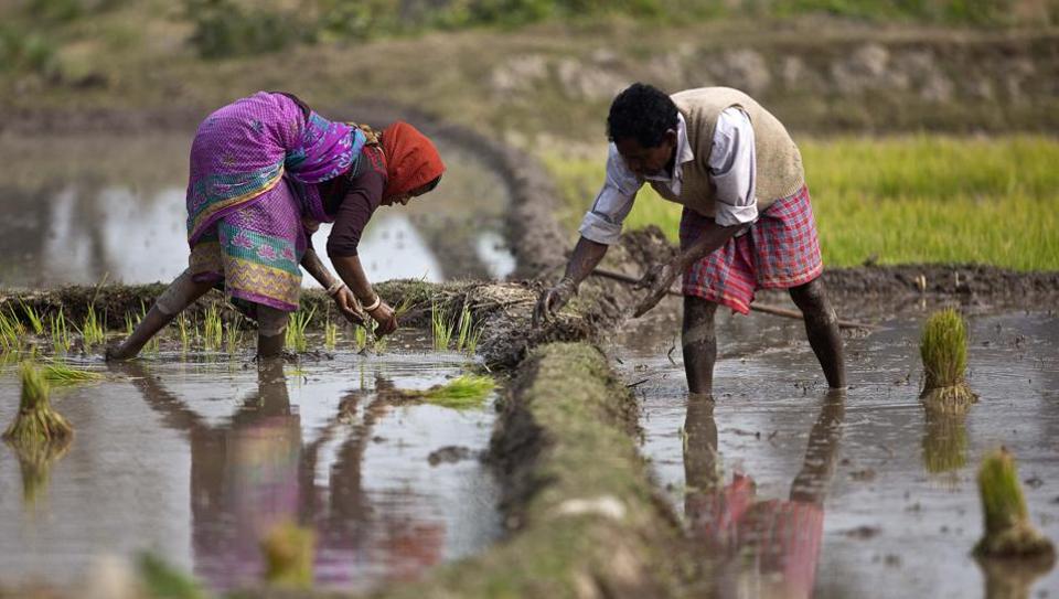 India’s agricultural focus must shift to environmentally sustainable