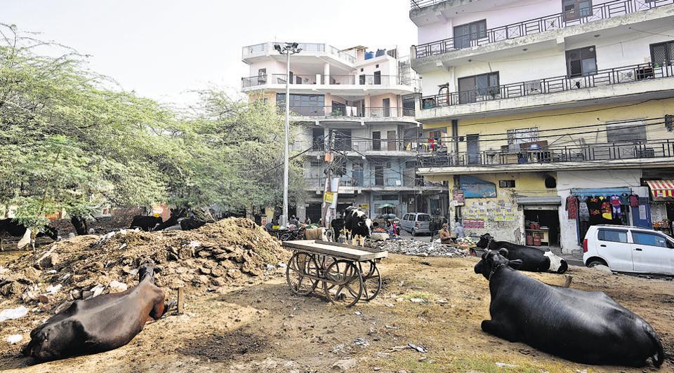 Comparative regional geography: china vs india How Delhi’s urban villages turned into ‘no plan land’ | Hindustan Times