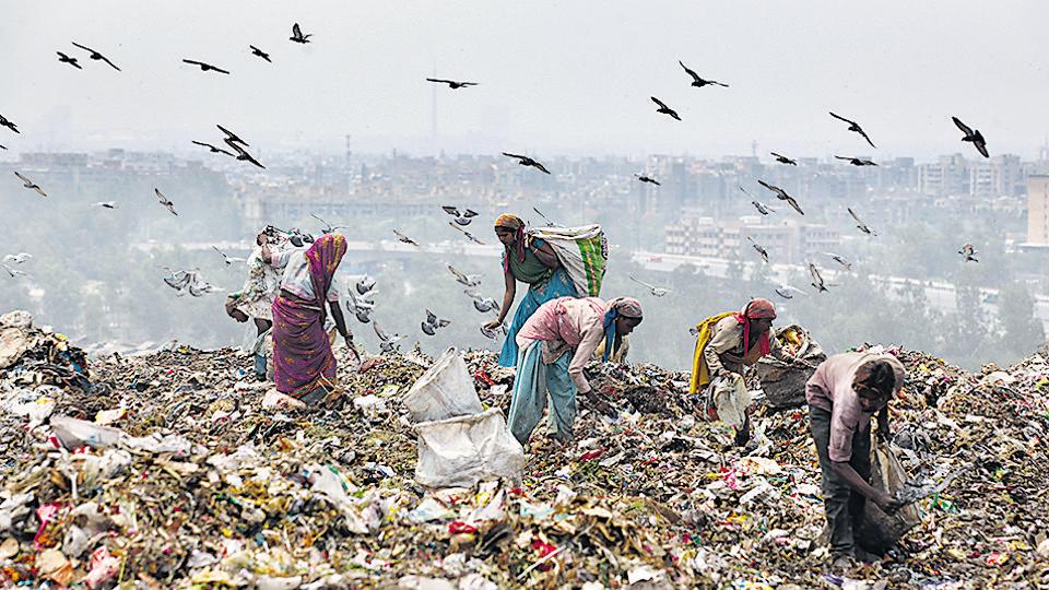 Metro Matters How wastepickers are Delhi’s greatest warriors against