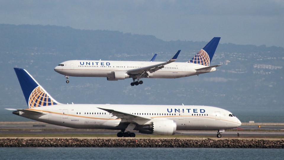 Dog dies on United Airlines flight after being forced into overhead bin