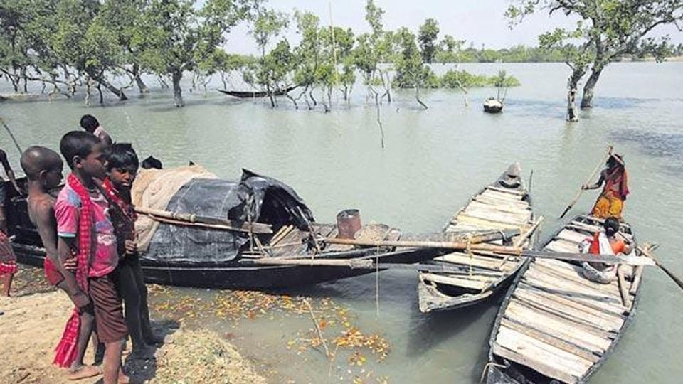 Sundarbans location picture