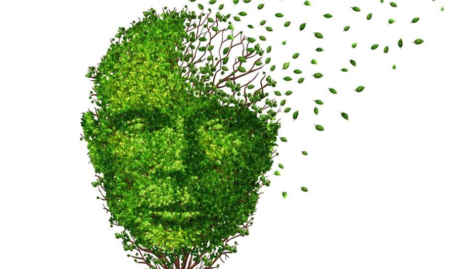 A significant number of people who have been diagnosed with Alzheimer’s don’t have the plaques (that were supposed to be the landmark characteristic) and around a third of elderly adults have plaques without having Alzheimer’s. (Shutterstock) A significant number of people who have been diagnosed with Alzheimer’s don’t have the plaques (that were supposed to be the landmark characteristic) and around a third of elderly adults have plaques without having Alzheimer’s. (Shutterstock)