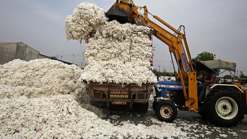 Tariffs on US may help India treble cotton exports to China Hindustan