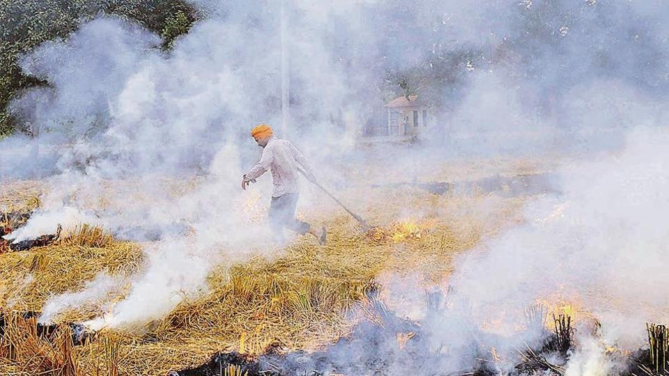 Crop burning begins, strong winds put brake on rise in Delhi’s