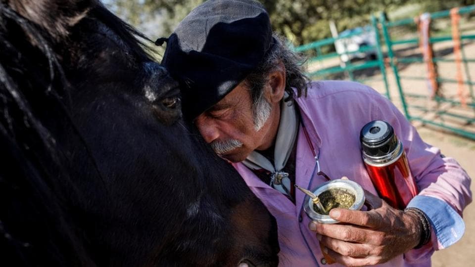 Photos Spanish horse whisperer’s animals help people destress Hindustan Times
