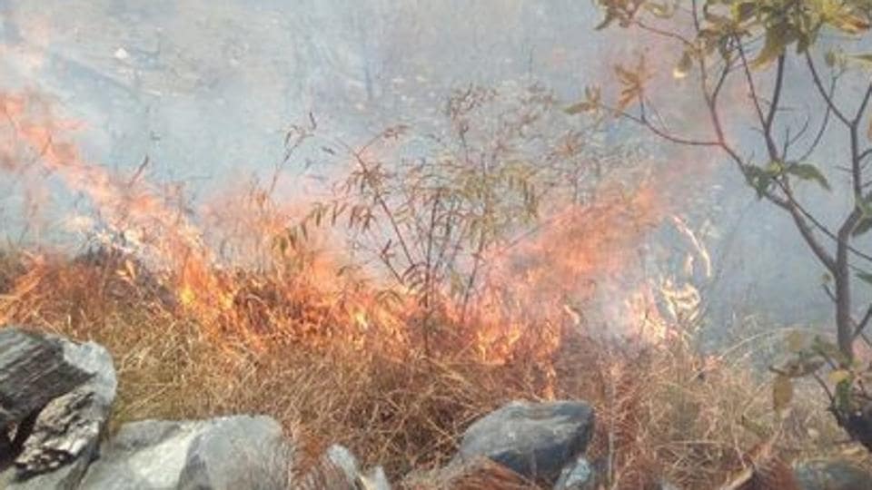 3,600 hectare gutted in wildfire, dept yet to demand ‘costly’ choppers