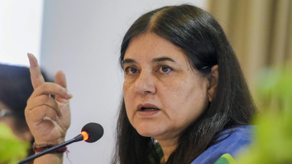 Maneka Gandhi’s intervention stops dog fight show in Punjab - Hindustan ...