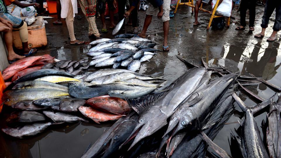 6,000 kg of formalinlaced fish seized in Kerala Latest News India