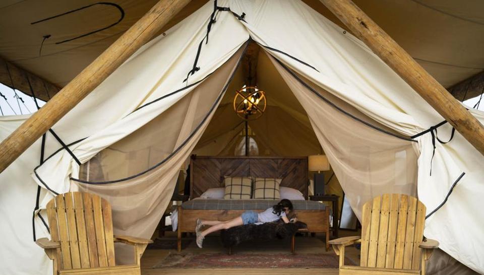 Now, you can go glamping in the New York harbour