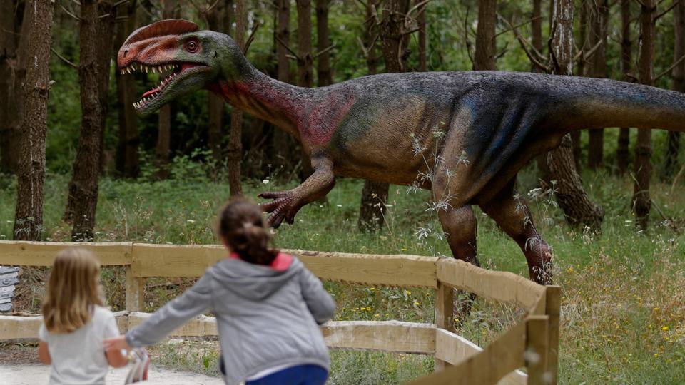 Fossil Rich Portugal Gets Dinosaur Theme Park And Outdoor Museum Hindustan Times Confira 491 avaliações e 4.220 fotos de restaurantes perto de dinosaur kingdom ii em natural bridge, virginia. fossil rich portugal gets dinosaur