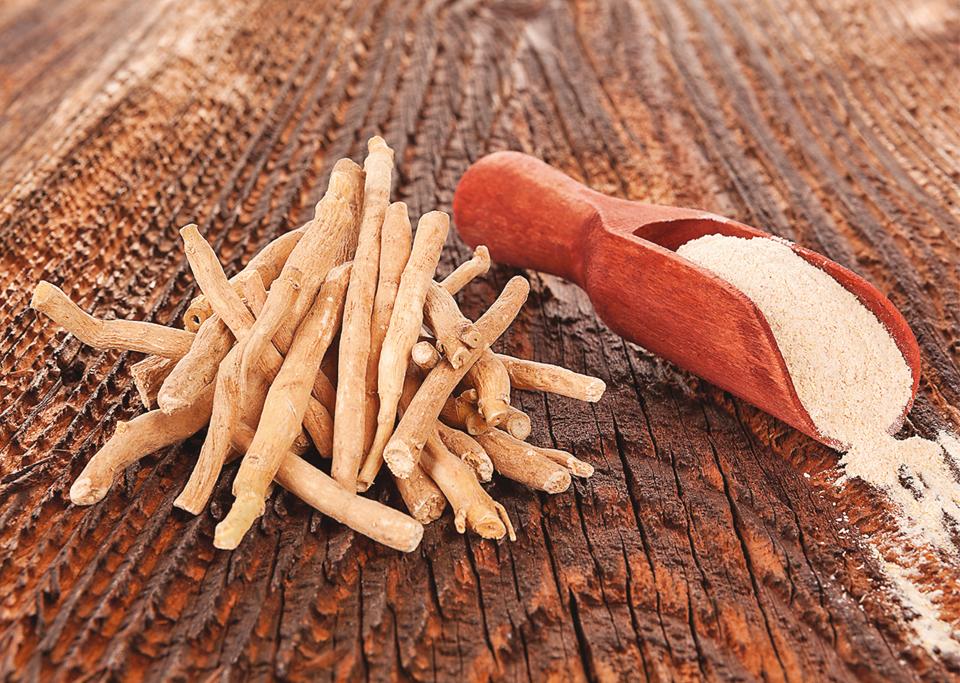 Shrub-like ashwagandha can cope with everything from cancer to hair loss (Shutterstock)