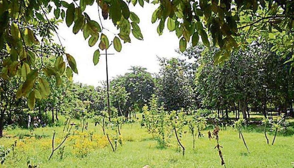 Landowners in greenbelt areas say want the government to finalise the policy soon. (File photo. Representative image) Landowners in greenbelt areas say want the government to finalise the policy soon. (File photo. Representative image)