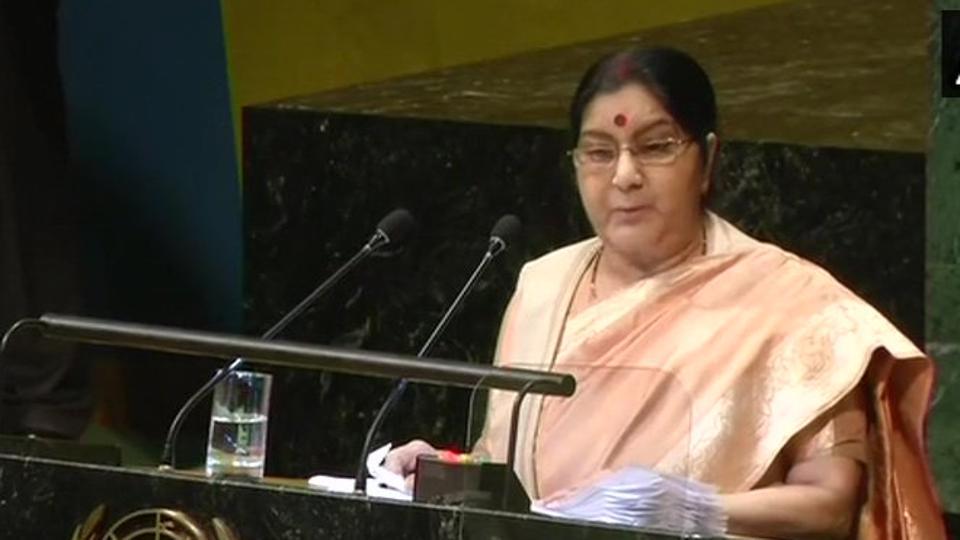 ‘Lists not enough to check terrorists’ Sushma Swaraj