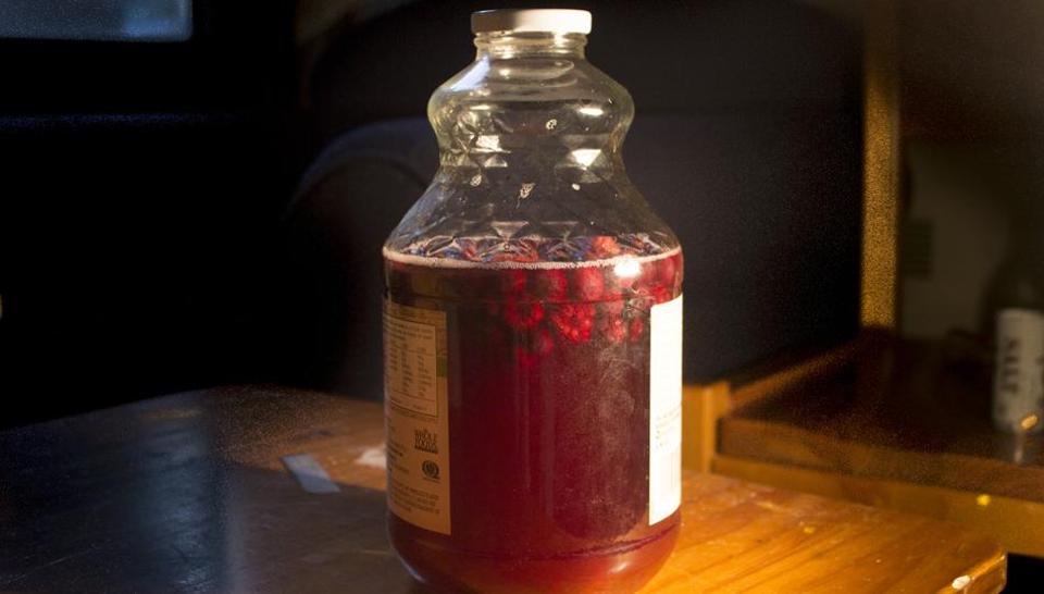 Kombucha is a form of fermented tea that can fight infections and cancer, as well as help to treat arthritis. (Courtesy: Wikimedia Commons)