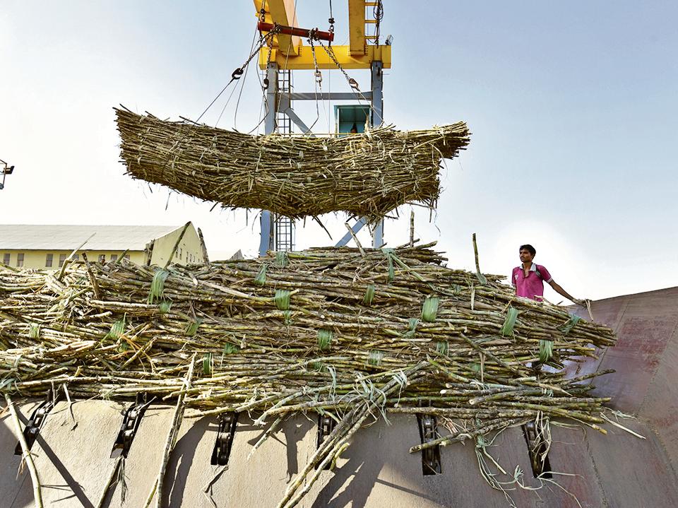 Sugar production in Maharashtra up by 13.29 per cent by January 6, Pune
