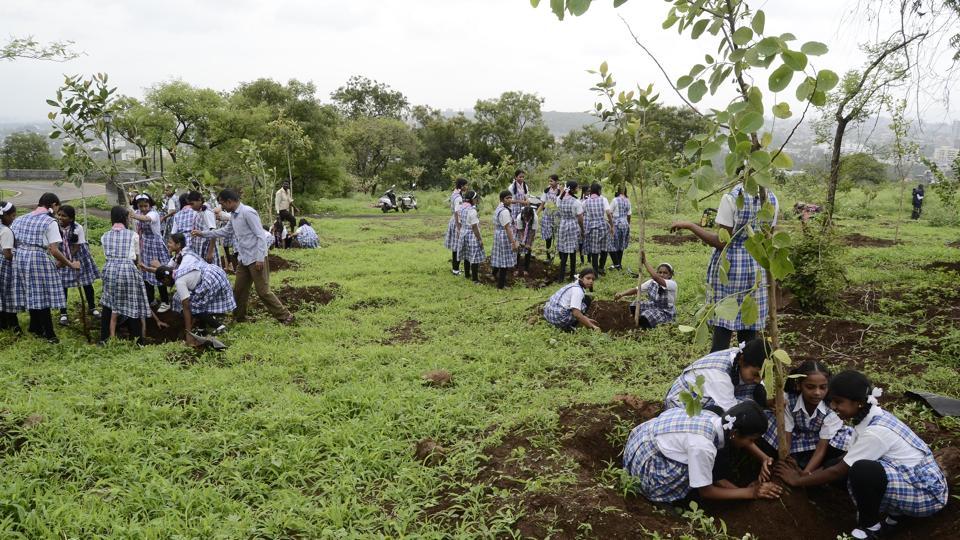 Forest department to plant 53,000 trees in Pune district with help from