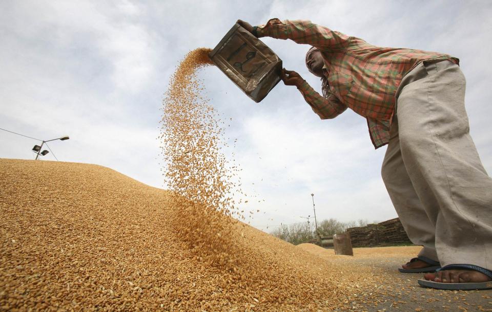 How India can increase its farm productivity Hindustan Times