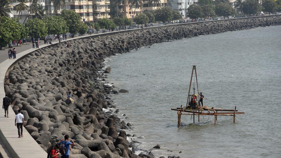 Bombay high court: Will coastal road project destroy oyster beds?