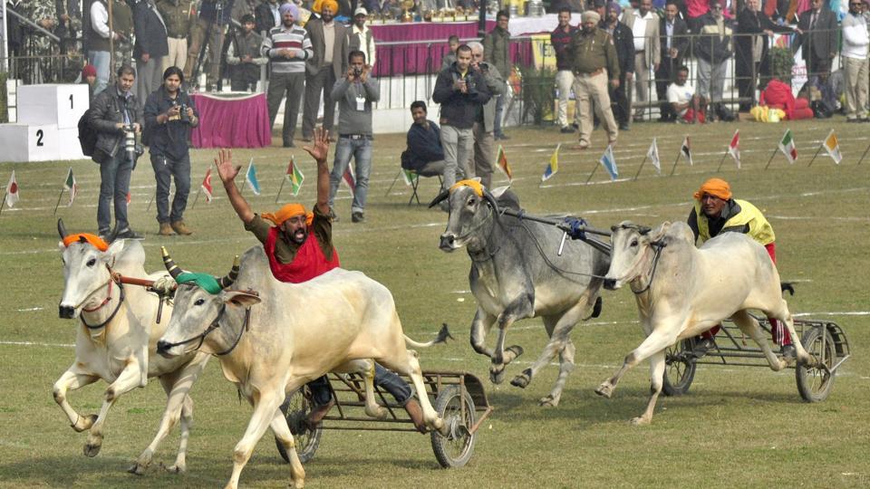 Kila Raipur games cancelled again as organisers fail to get NOC - Hindustan  Times